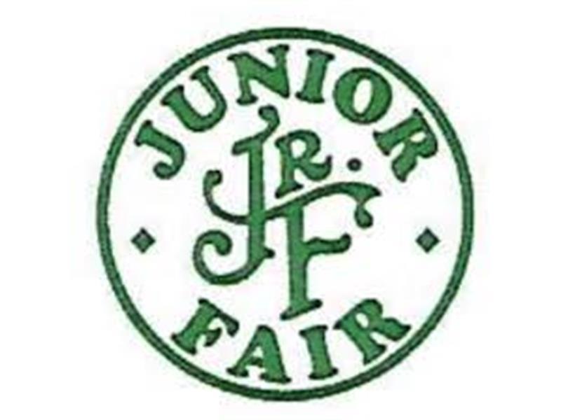 Logo for 2026 Fayette County Fair